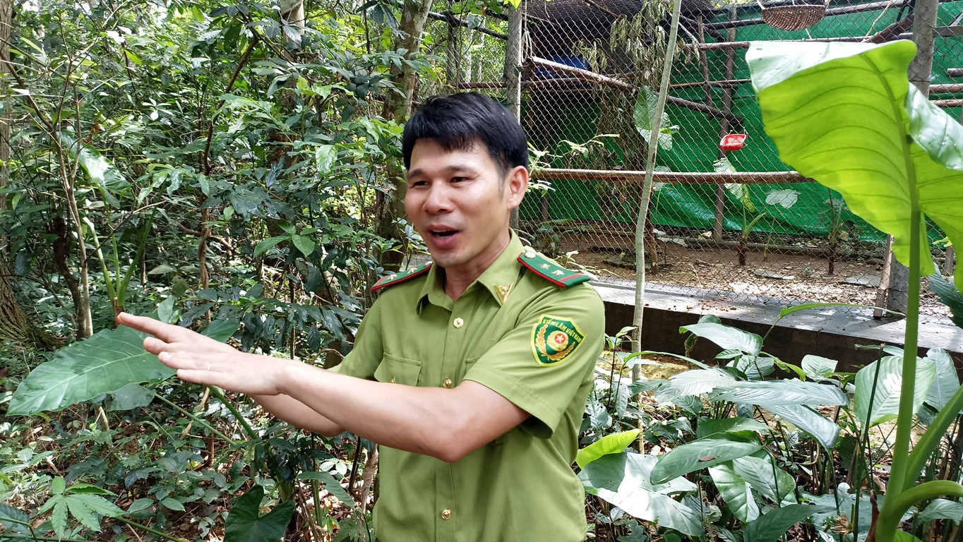 Endangered gibbon rescued from drug kingpin's home in VN finds safe haven