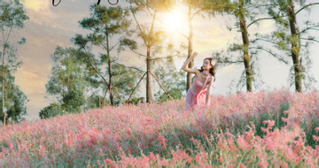 Near Hanoi, a pink grass hill captivates visitors with autumn blooms