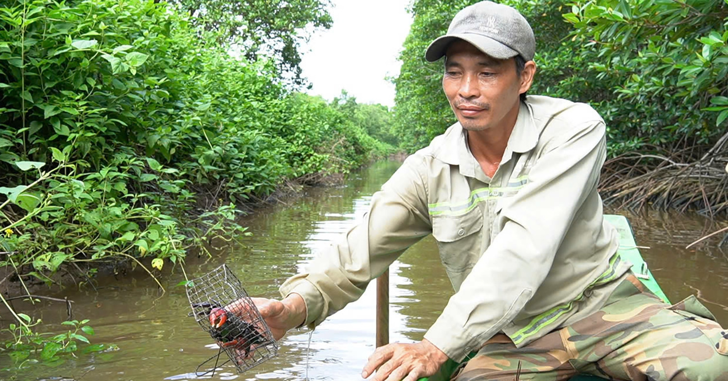 Mekong farmers’ secret to successful crab hunting with simple traps