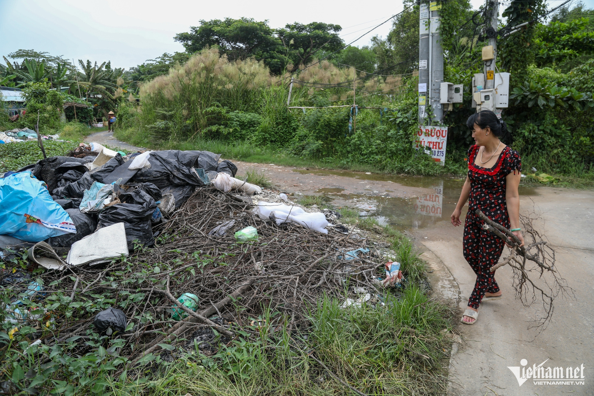 W-dự án văn hóa thể thao, TPHCM(1).jpg