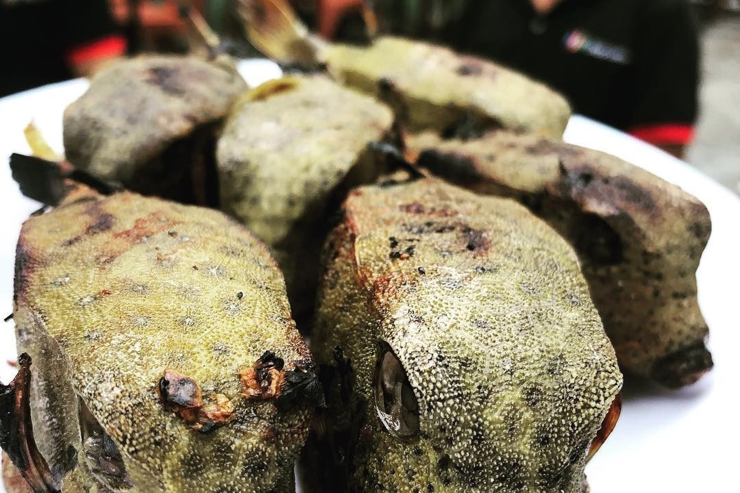 bas pro fishing rod box Island Creek O' Fish Variety Pack - Island Creek Oysters | Buy Oysters Online SEA Cowfish Boxfish - Vietnam