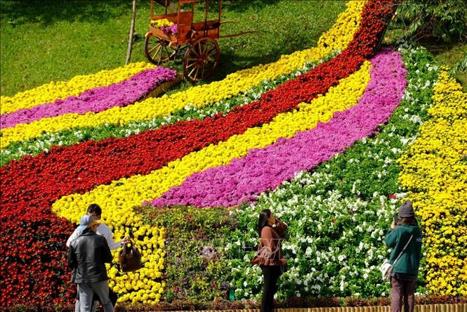 Da Lat Flower Festival to bloom in December