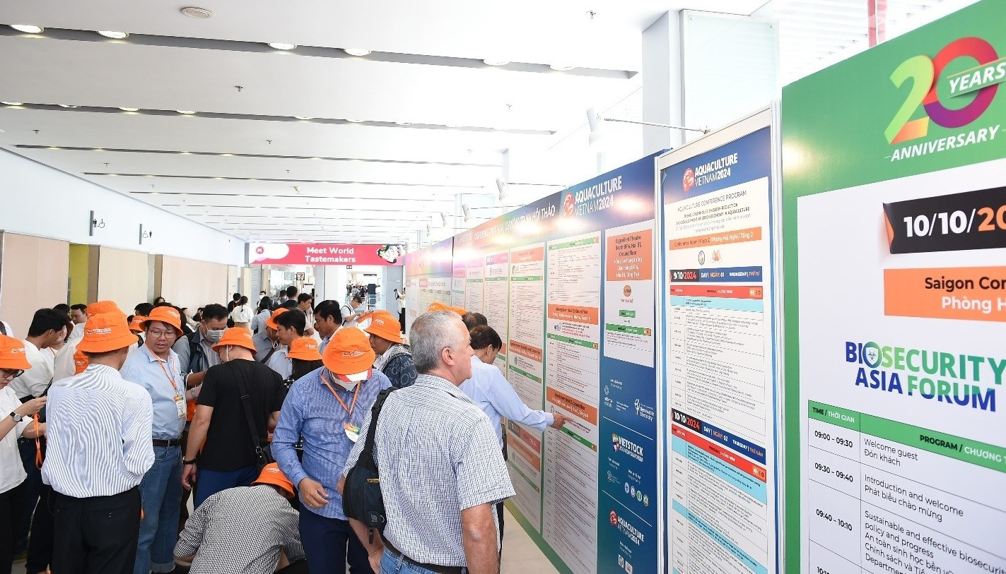 aaaaaaaaaaa2 (1).jpg