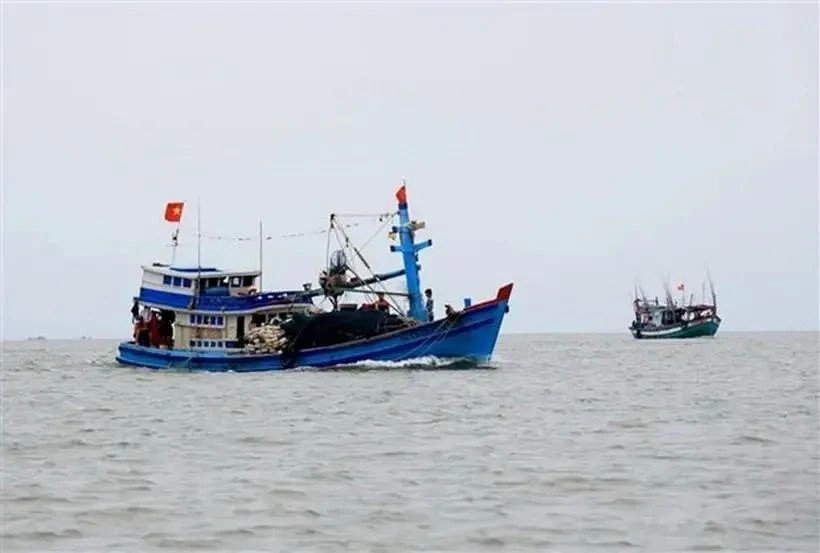 Int’l public opinion on Chinese force's brutal behaviours towards VN fishermen