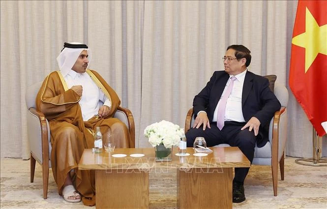 PM calls for Qatar's support for energy development in Vietnam