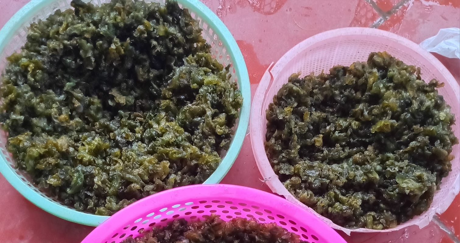 The rock moss delicacy of Ninh Binh’s limestone mountains