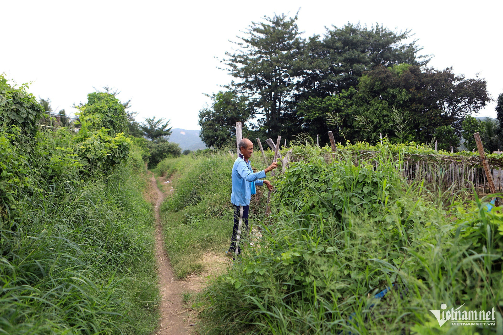 8 img 8887jpg 117072.jpg