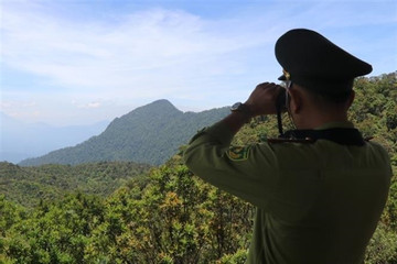 Thousands of wildlife traps removed at Bach Ma National Park