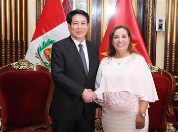 Vietnam, Peru issue joint declaration