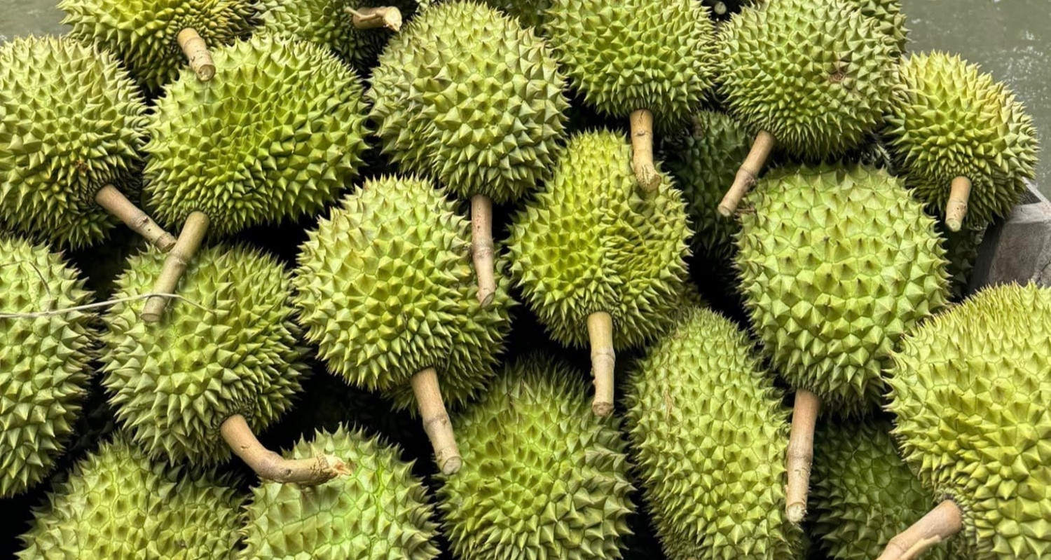 Vietnam’s durian export boom hits $3 billion, prices at all-time high