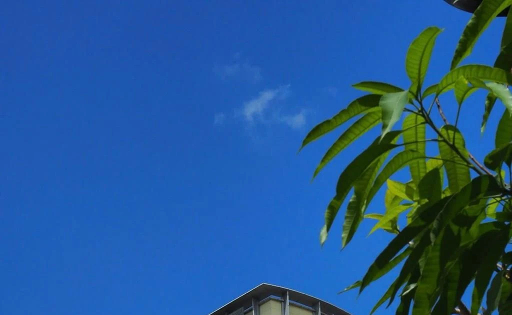 Vietcombank issues 2 trillion VND worth of green bonds for first time