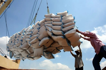 Vietnam still dominates Philippine rice import