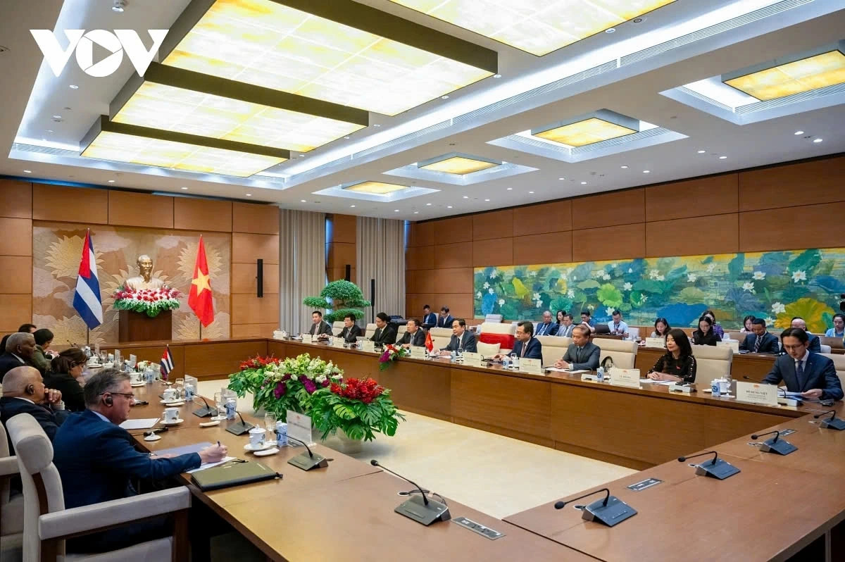 vietnam and cuba vow to foster close bond, special solidarity, multifaceted cooperation picture 2