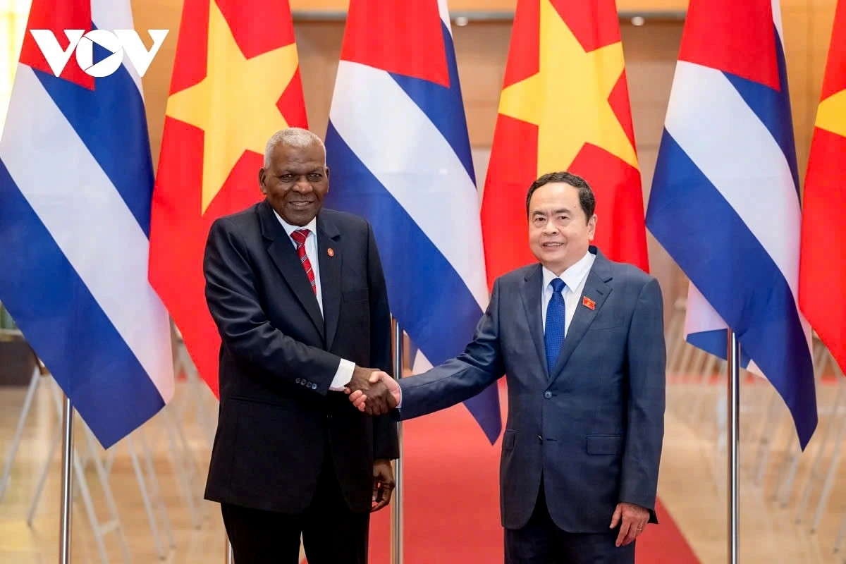 vietnam and cuba vow to foster close bond, special solidarity, multifaceted cooperation picture 1