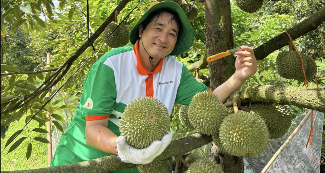 Seasonal advantage helps Vietnam claim top spot in China’s durian market