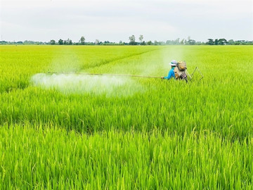 Should Vietnam implement VAT on fertilisers?