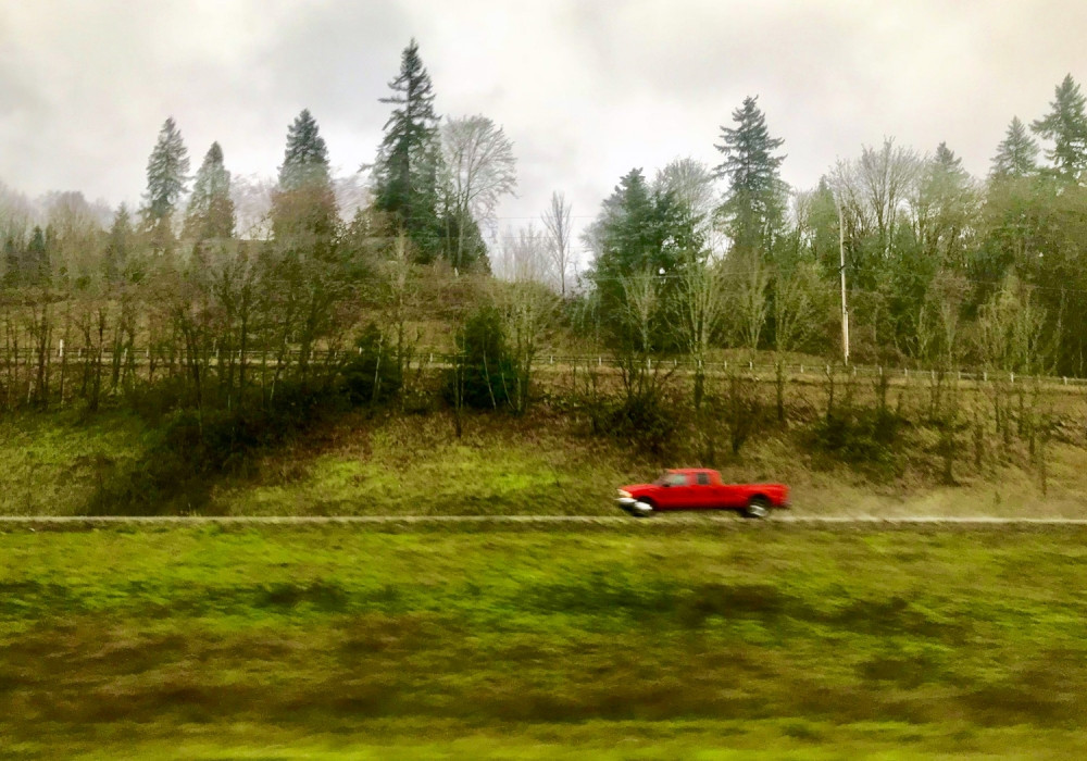 batch_Đường Về Miền Xanh.jpg