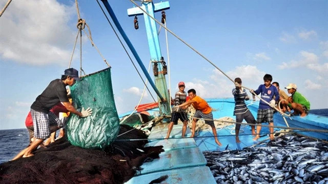 The province has also assisted vessels in paying satellite monitoring service fees for 22,350 fishing vessels, amounting to over 3.8 billion VND