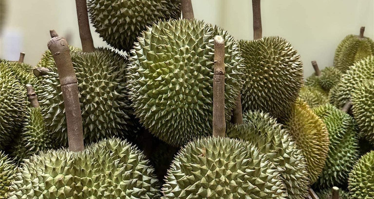 Vietnam’s durian market sees unprecedented 1,057% rise in imports