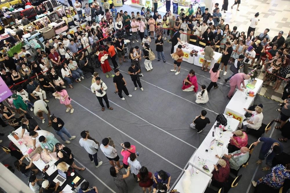 vietnam wins international cat breed show in ho chi minh city picture 4