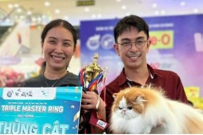 Vietnam wins international cat breed show in Ho Chi Minh City