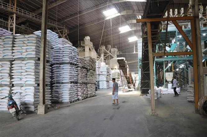 Vietnam's rice exports likely to set new record in 2024