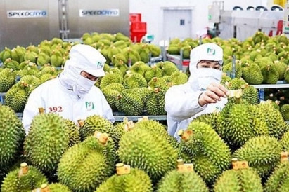 Fruit and vegetable exports likely to fetch US$7 billion this year