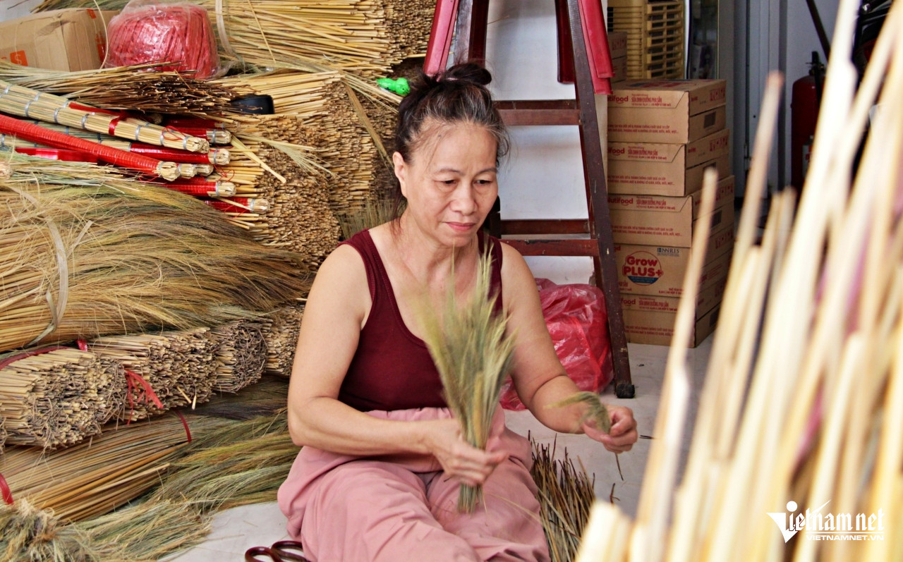 broom grass HaNguyen.jpg