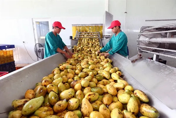 Vietnam’s exports expected to hit highest growth since 2021