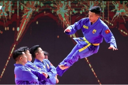 Ho Chi Minh City to host international martial arts festival