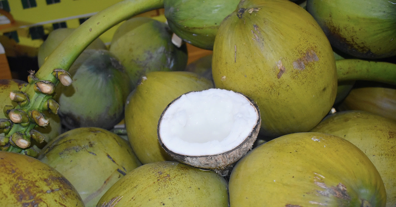 Vietnam’s coconut industry faces crisis as exports to China drain raw materials