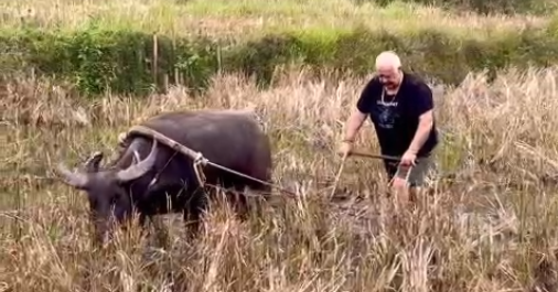 Foreign tourists experience authentic rural life in Vietnam