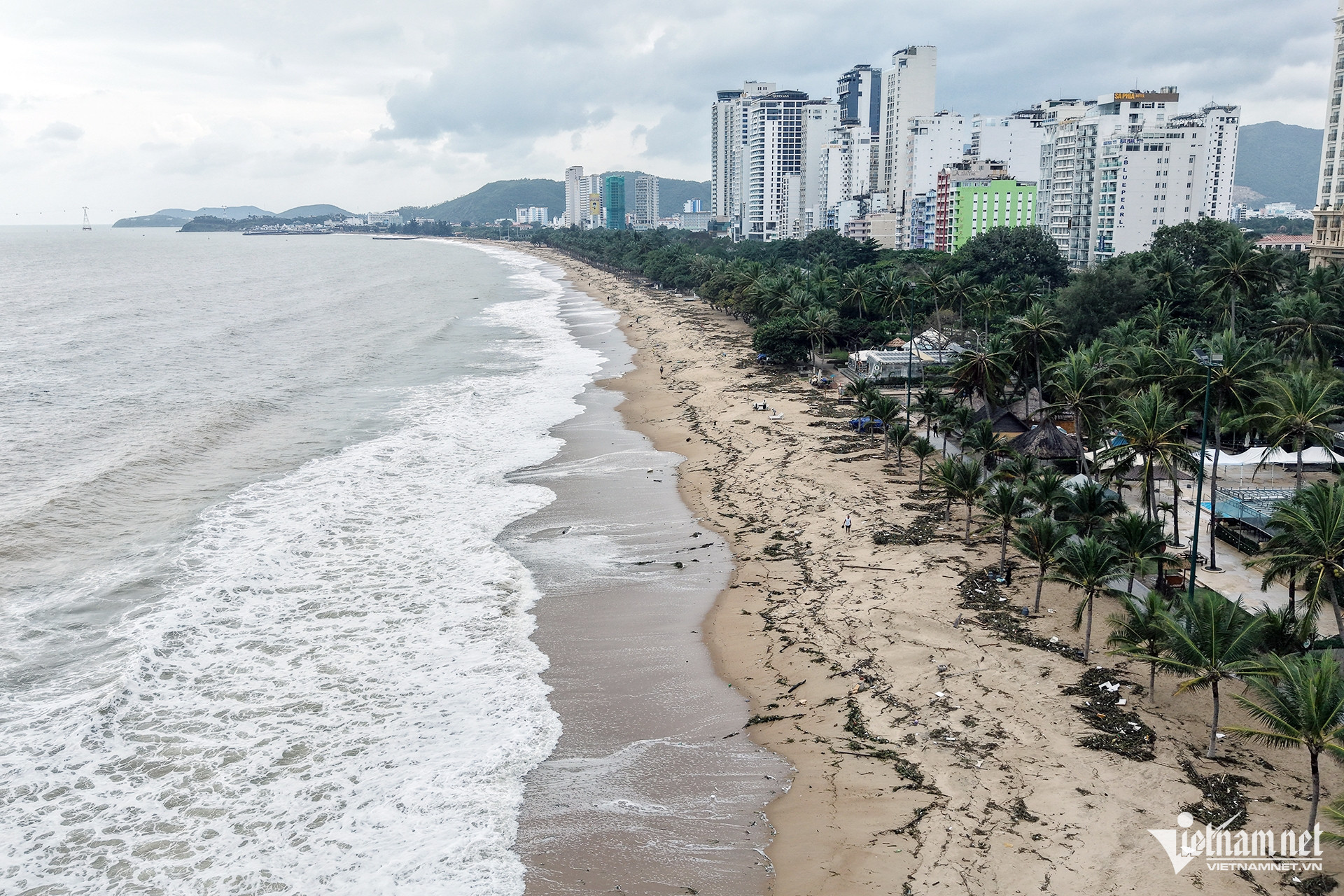 W-1 DJI_20241216130428_0978_D.jpg