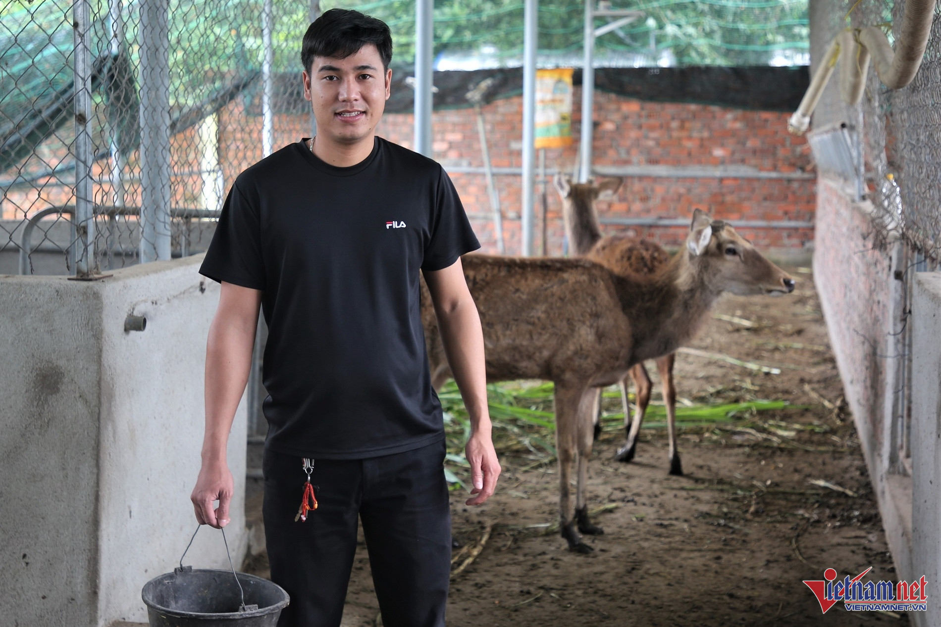 Quitting high-paying job, young man raises deer, becomes billionaire