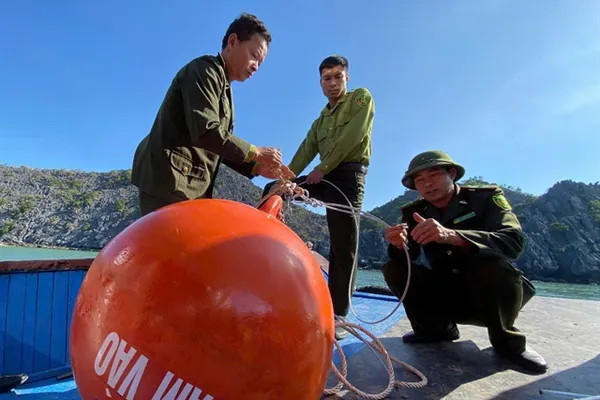 Releasing buoys to protect coral reefs in Cat Ba National Park