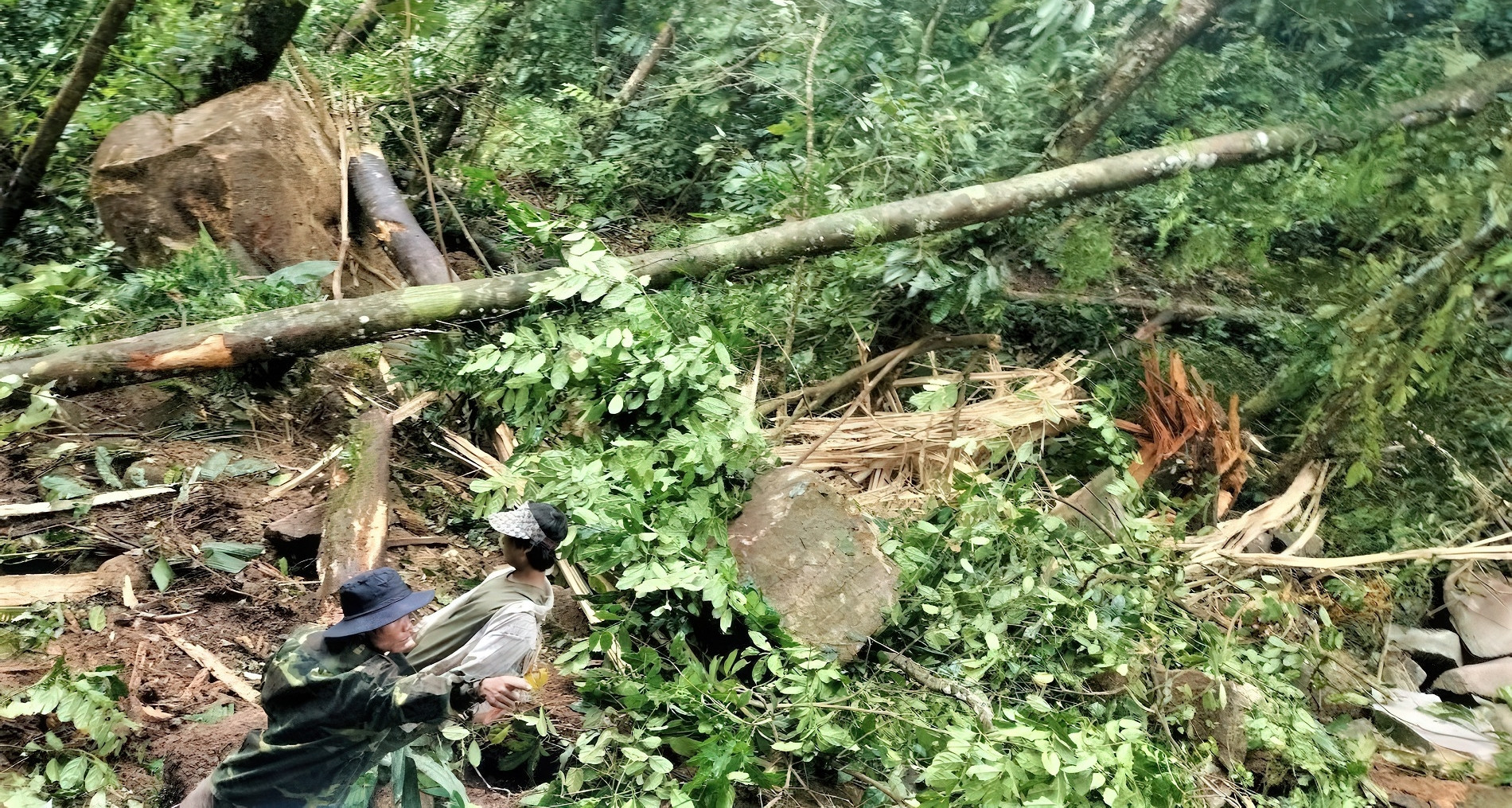 Quang Nam declares emergency after earthquake-triggered rockfalls near village