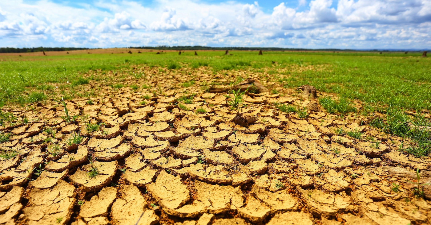 Desertification threatens 11.8 million hectares of land in Vietnam