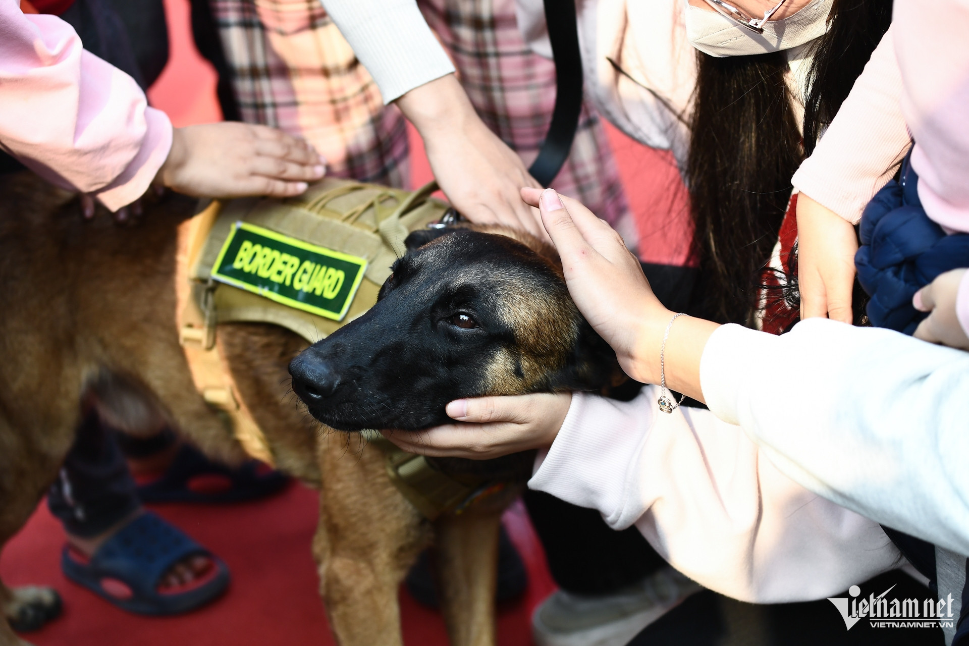 W-cho nghiep vu trien lam quoc phong 22.jpg