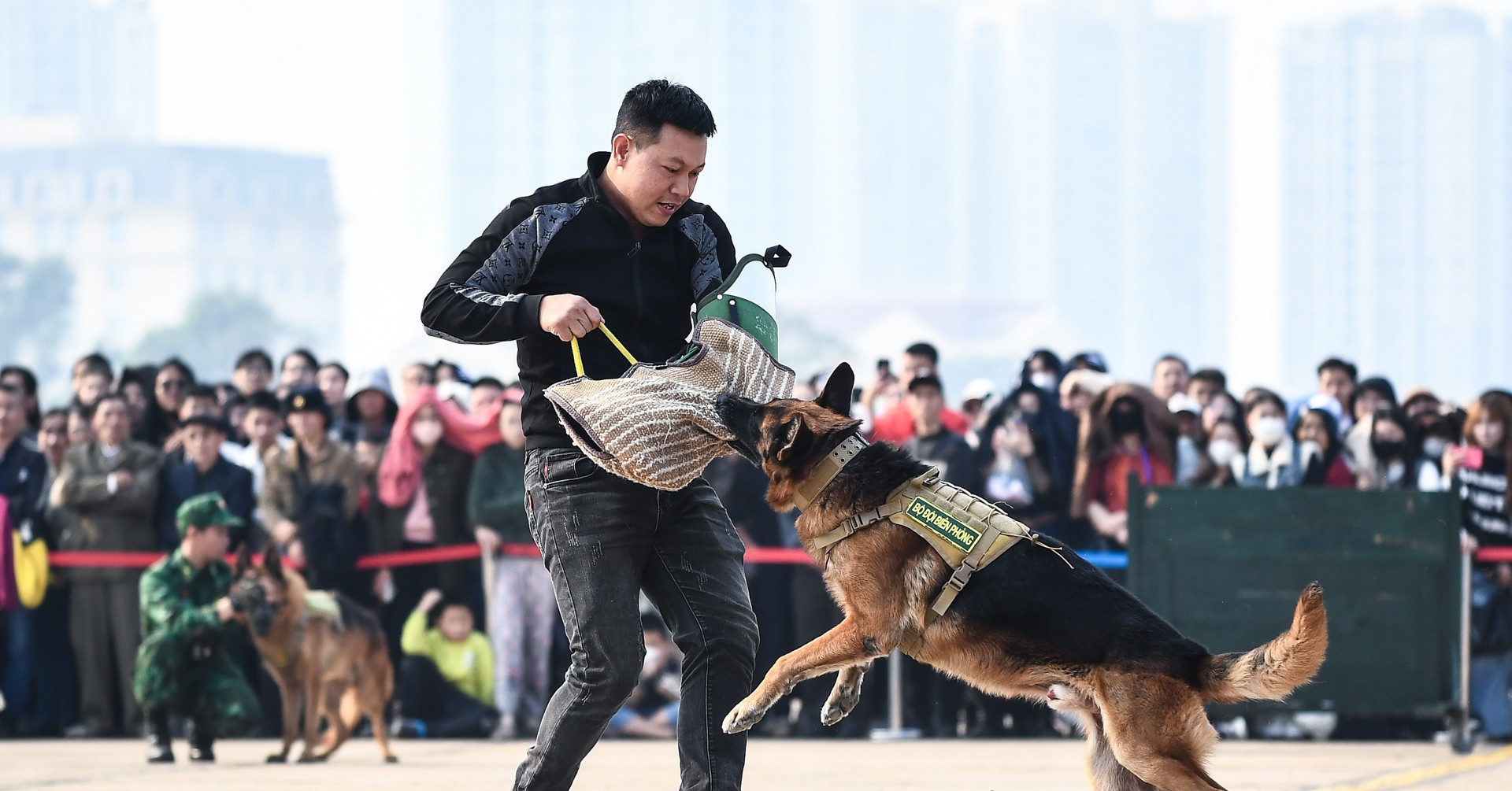 Service dogs wow crowds with precision and strength at Defense Exhibition 2024