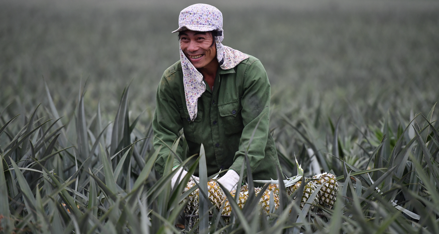 Coffee, rice, and durian drive Vietnam’s agricultural export boom