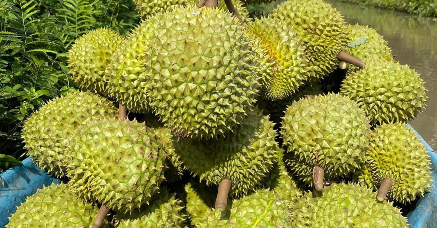 EU tightens inspections on Vietnamese durians over pesticide violations