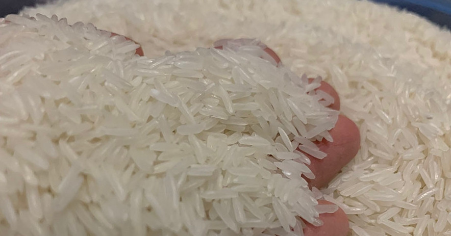 Year-end surprise: Vietnam’s rice prices dip after historic export gains