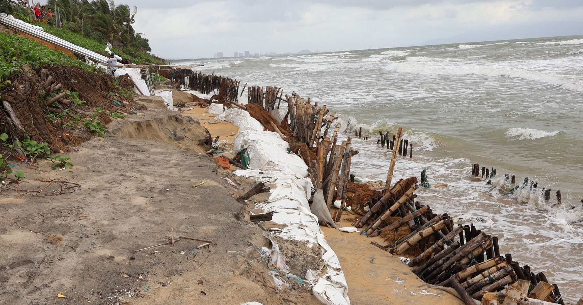 Coastal erosion prompts emergency declaration in Hoi An, Quang Nam