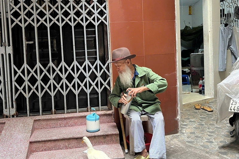 Hanoi man raises ducks as pets, takes them for walks