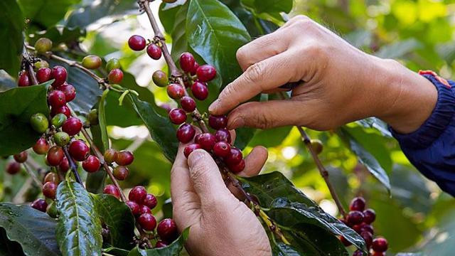 202301120928 da47c9bb 9006 40cb 8454 79df7ecbc53d.jpg