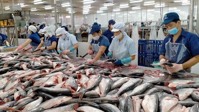 Vietnam’s seafood sector thrives under UKVFTA with 90% exports led by shrimp