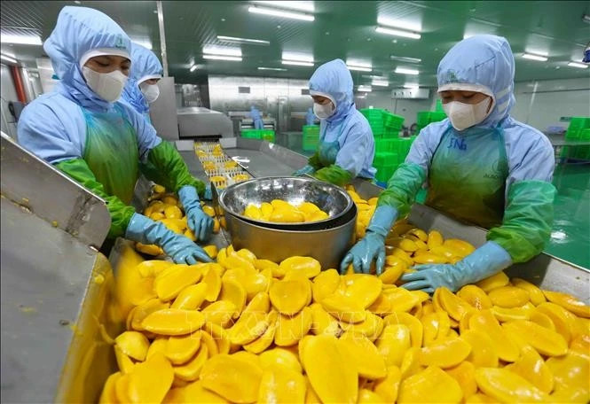 Trade surplus of agricultural sector reaches nearly 18 billion USD in 2024