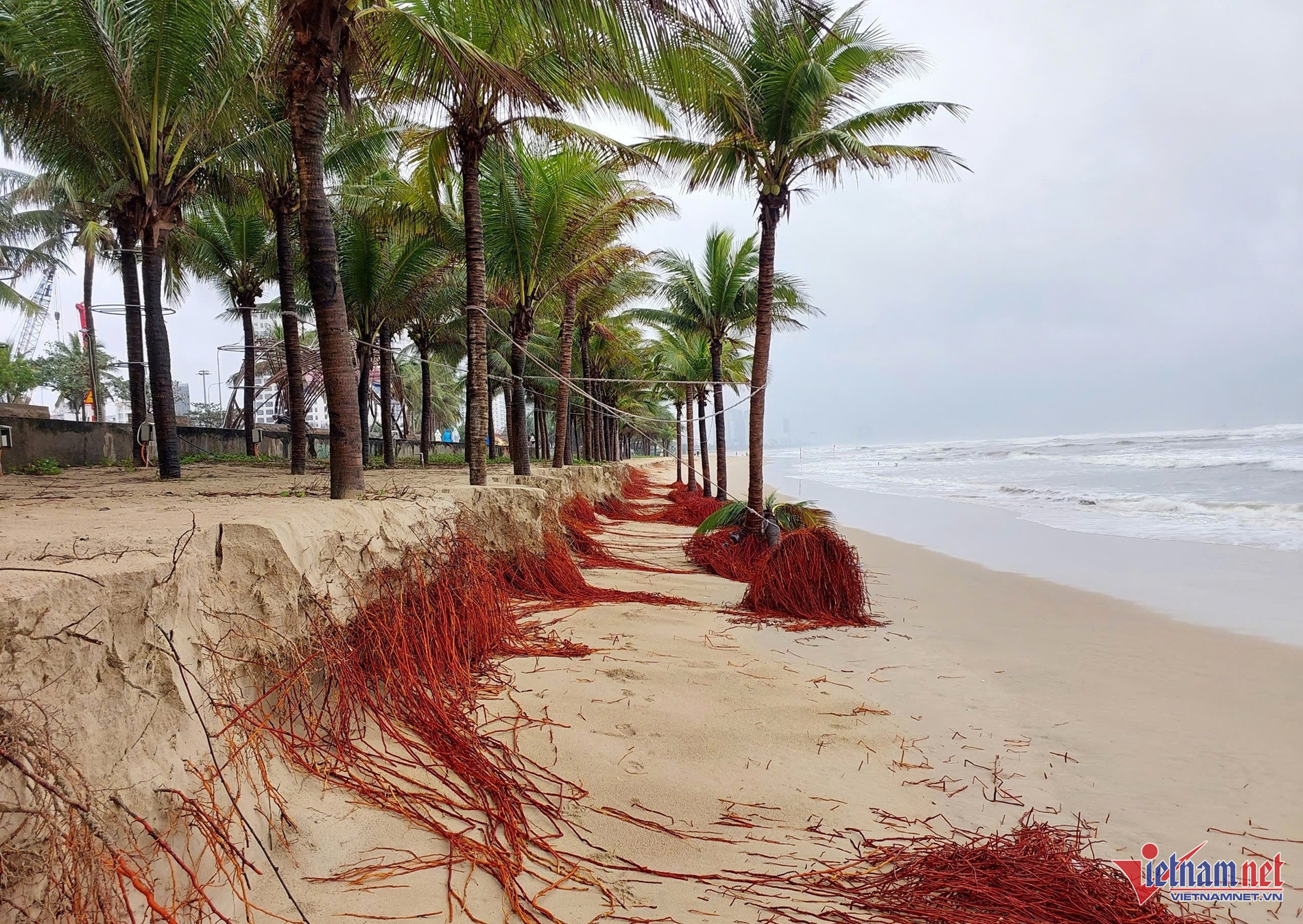 W-sat lo bien da nang 13.JPG.jpg