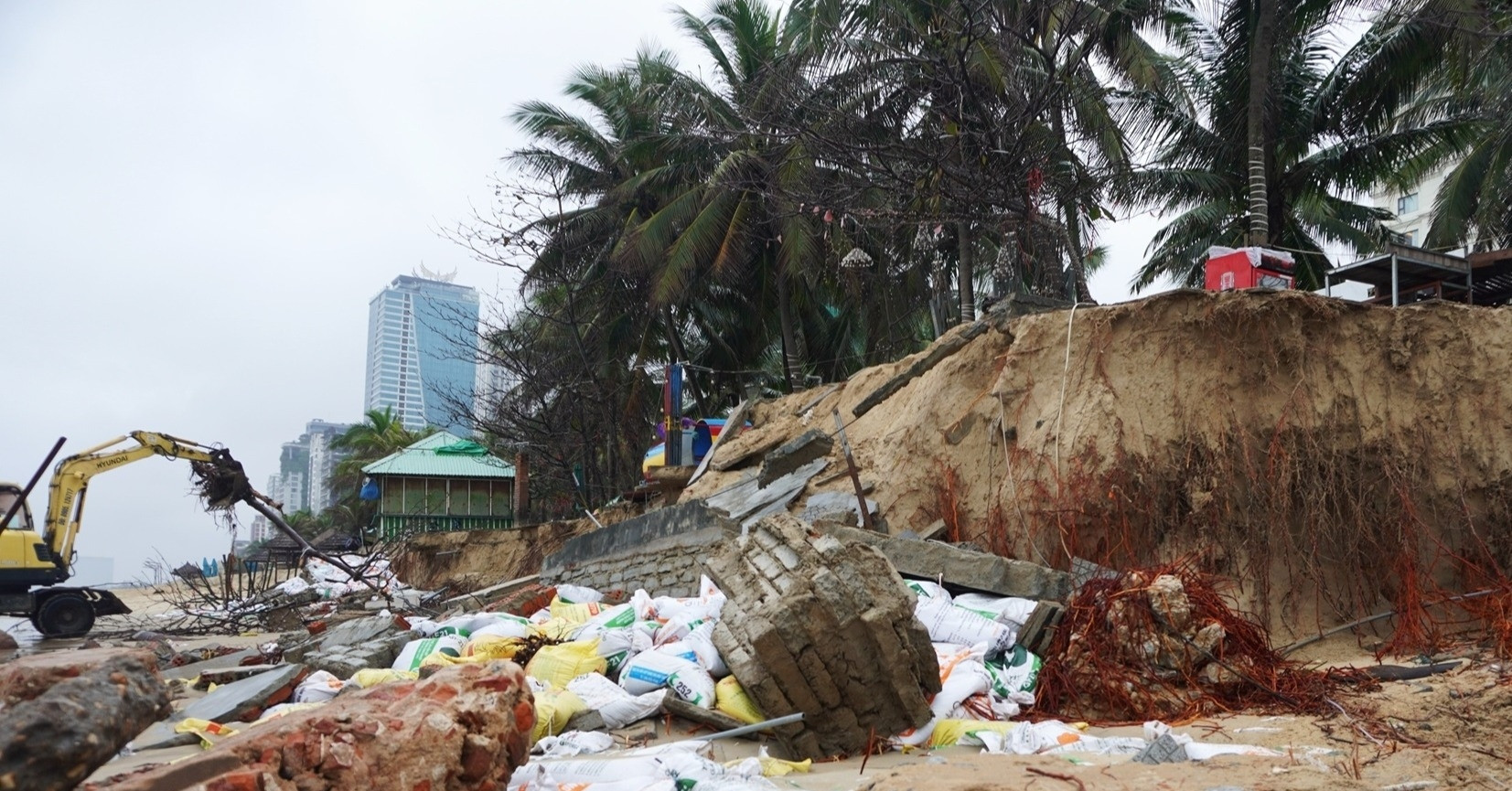 My Khe Beach faces destruction as waves erode Da Nang’s iconic coastline