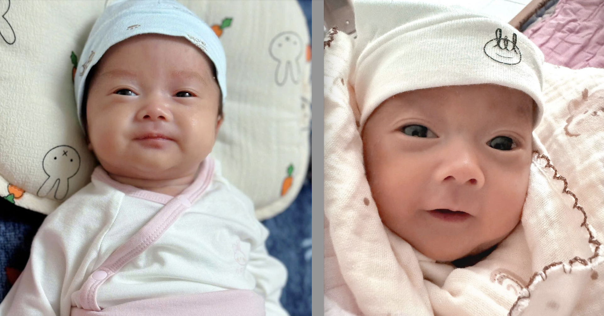 Twins born five weeks apart in Hanoi: A medical marvel